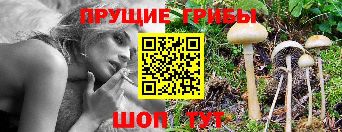 сколько стоит  Псилоцибиновые грибы мицелий  Вход с VPN  Галлюциногенные грибы Magic Shrooms  Дагестанские Огни 